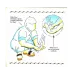 My Wudu Book Colour